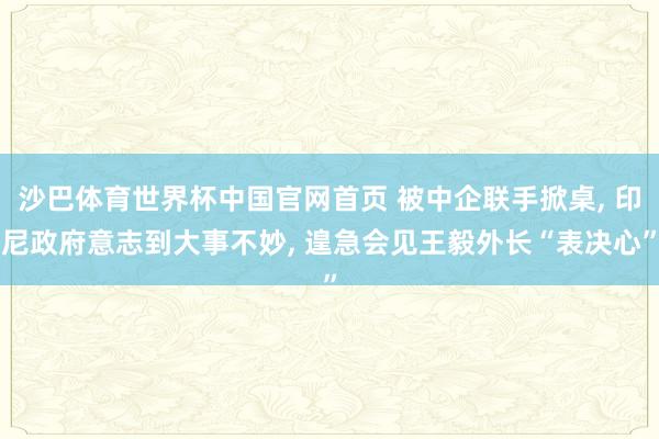 沙巴体育世界杯中国官网首页 被中企联手掀桌， 印尼政府意志到大事不妙， 遑急会见王毅外长“表决心”