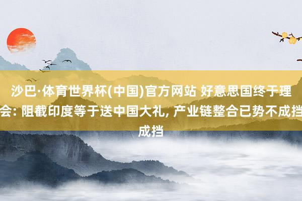 沙巴·体育世界杯(中国)官方网站 好意思国终于理会: 阻截印度等于送中国大礼， 产业链整合已势不成挡