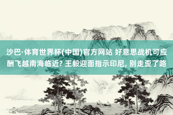 沙巴·体育世界杯(中国)官方网站 好意思战机可应酬飞越南海临近? 王毅迎面指示印尼， 别走歪了路