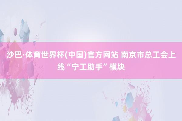 沙巴·体育世界杯(中国)官方网站 南京市总工会上线“宁工助手”模块