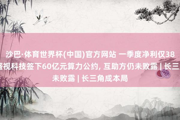 沙巴·体育世界杯(中国)官方网站 一季度净利仅381万元， 盛视科技签下60亿元算力公约， 互助方仍未败露 | 长三角成本局