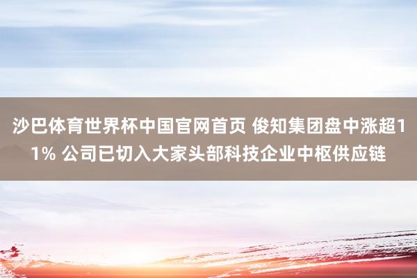 沙巴体育世界杯中国官网首页 俊知集团盘中涨超11% 公司已切入大家头部科技企业中枢供应链