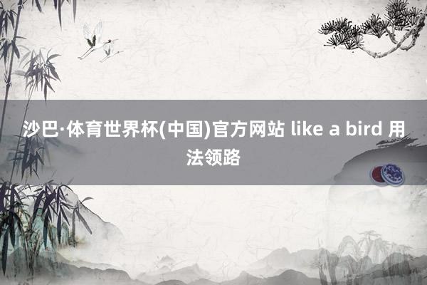 沙巴·体育世界杯(中国)官方网站 like a bird 用法领路