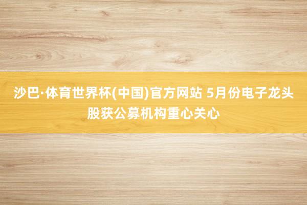 沙巴·体育世界杯(中国)官方网站 5月份电子龙头股获公募机构重心关心