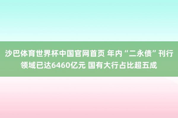 沙巴体育世界杯中国官网首页 年内“二永债”刊行领域已达6460亿元 国有大行占比超五成