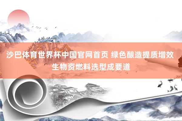 沙巴体育世界杯中国官网首页 绿色酿造提质增效 生物资燃料选型成要道