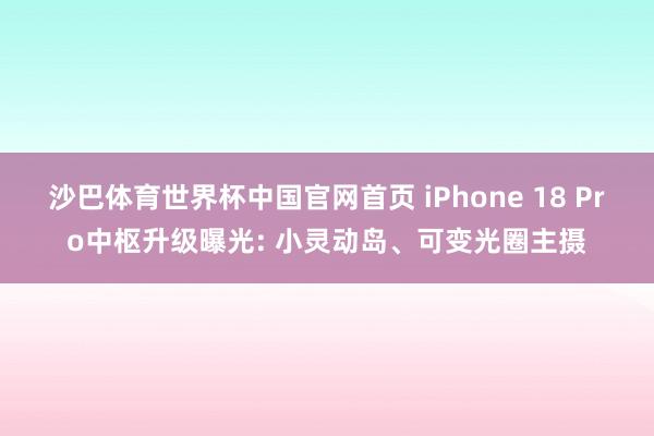沙巴体育世界杯中国官网首页 iPhone 18 Pro中枢升级曝光: 小灵动岛、可变光圈主摄