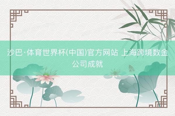沙巴·体育世界杯(中国)官方网站 上海跨境数金公司成就