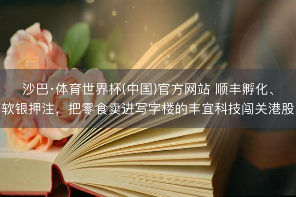 沙巴·体育世界杯(中国)官方网站 顺丰孵化、软银押注,把零食卖进写字楼的丰宜科技闯关港股